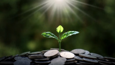Financing the net-zero transition should not result in unintended negative social consequences, the report urges